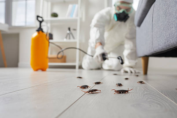 Commercial Kitchen Cockroach Control in Shinglehouse
